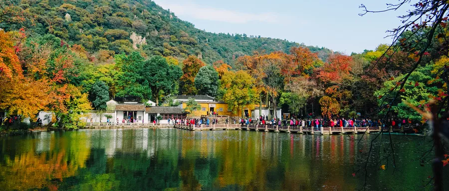 康养文旅产业：下一个亿万级“超级独角兽”正在崛起(图2)